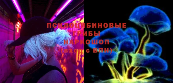 PSILOCYBIN Бугульма