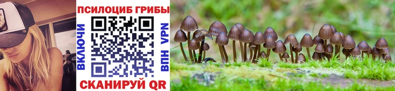Галлюциногенные грибы мухоморы Яровое