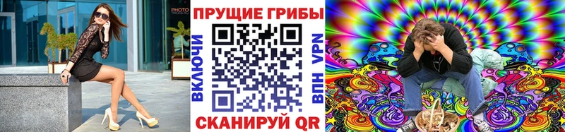 Псилоцибиновые грибы Cubensis Яровое